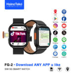 Haino Teko FG-2