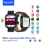 Haino Teko FG-2